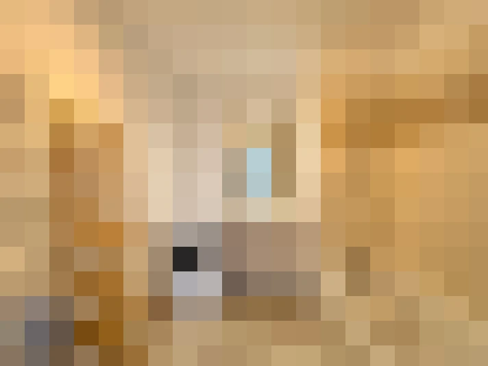  / #14