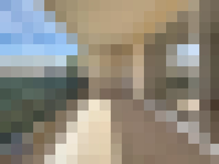  / #7