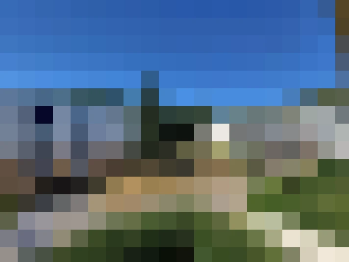  / #7