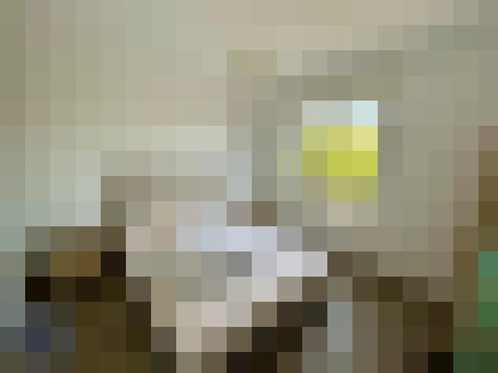  / #8