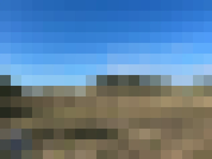  / #9