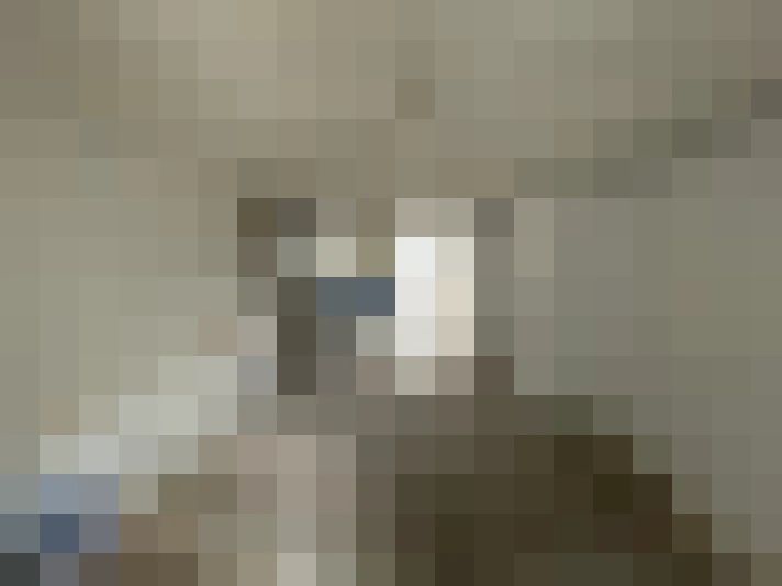  / #11