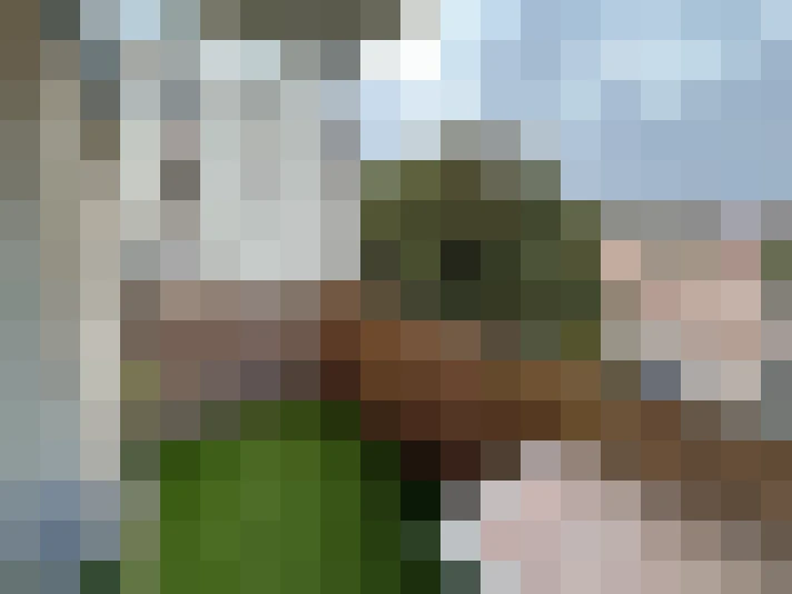  / #7