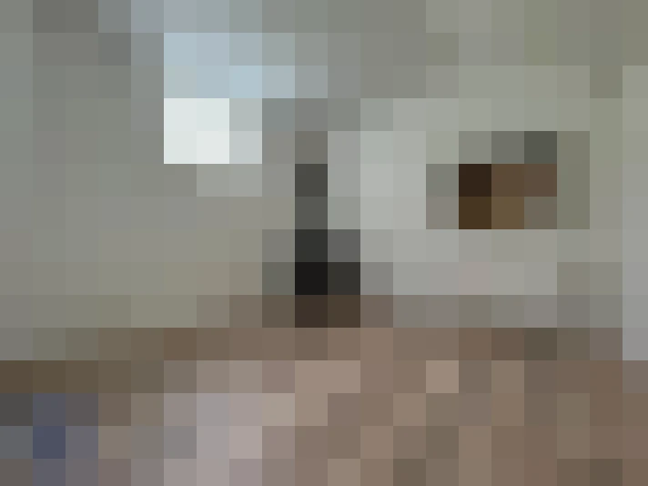  / #8