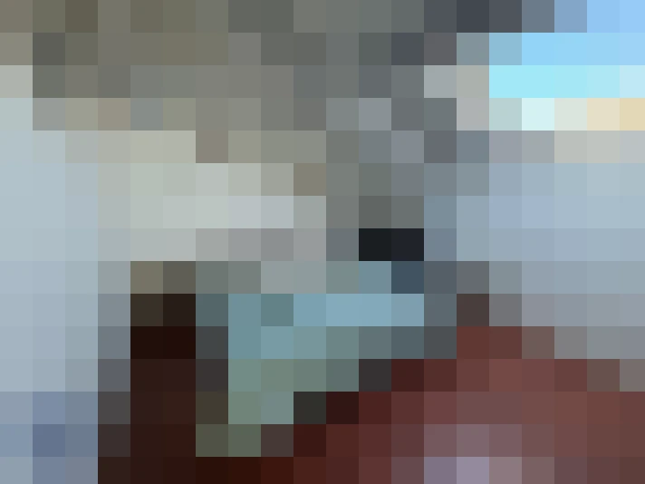  / #13