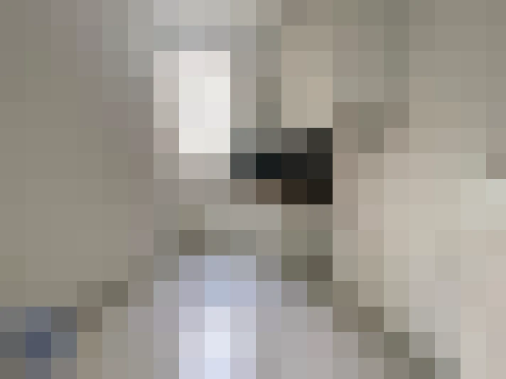 / #8
