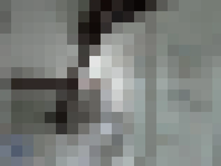  / #15