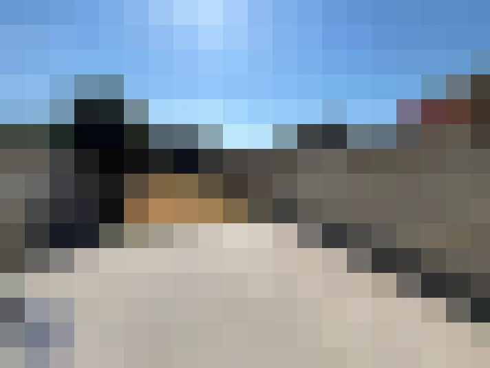  / #7
