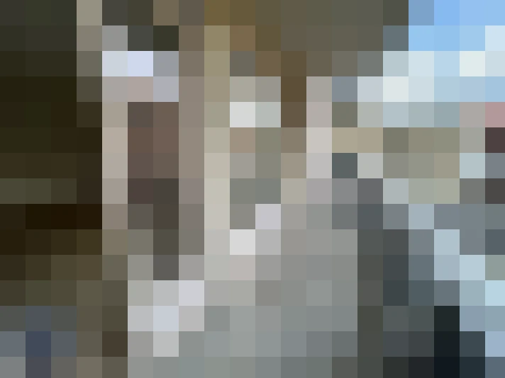  / #8