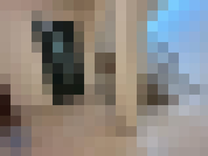 / #11