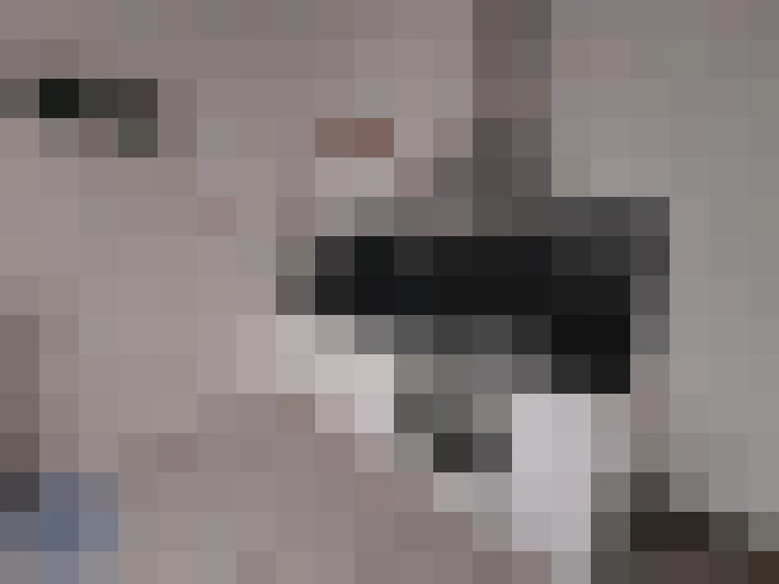  / #6