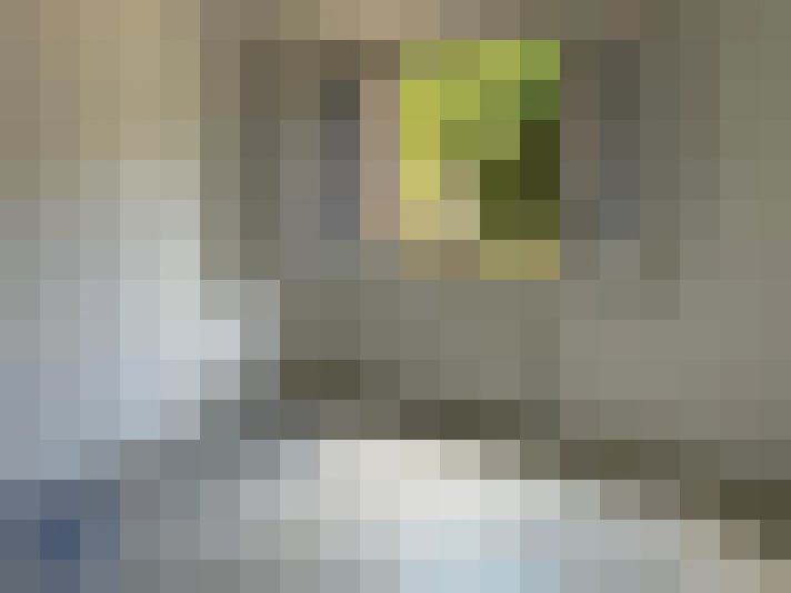  / #8