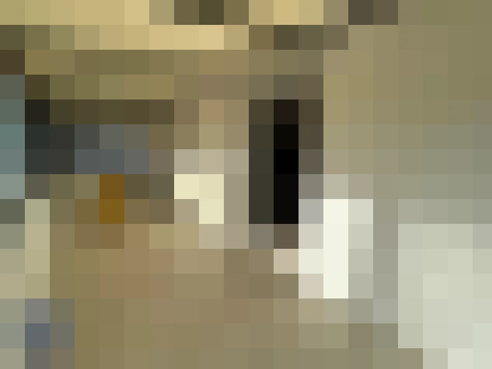  / #6