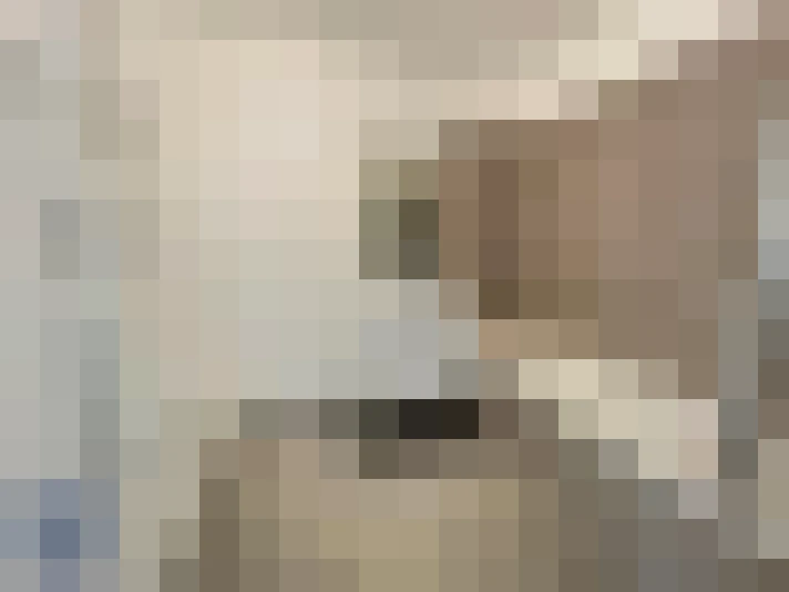  / #11