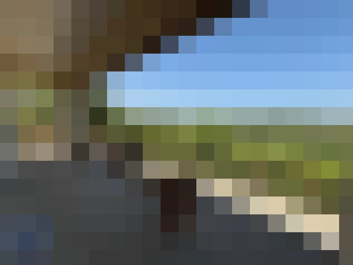  / #14