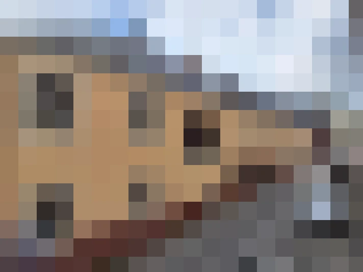  / #8