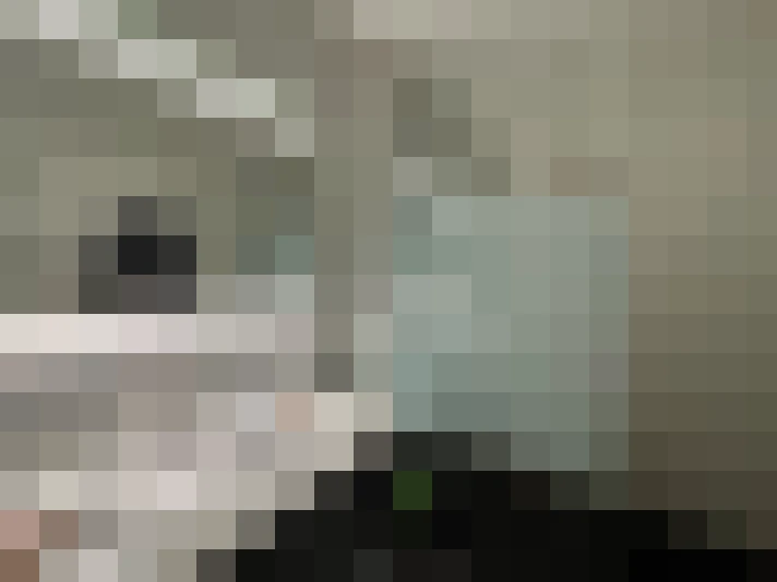  / #8
