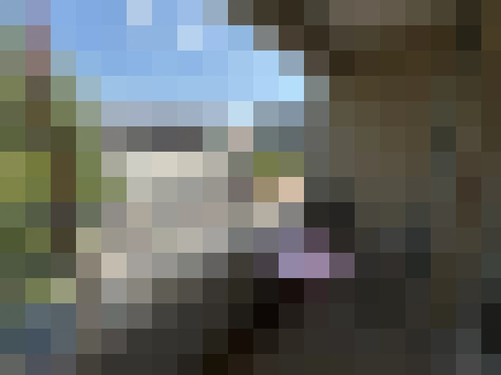  / #8