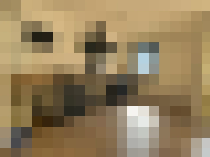  / #9