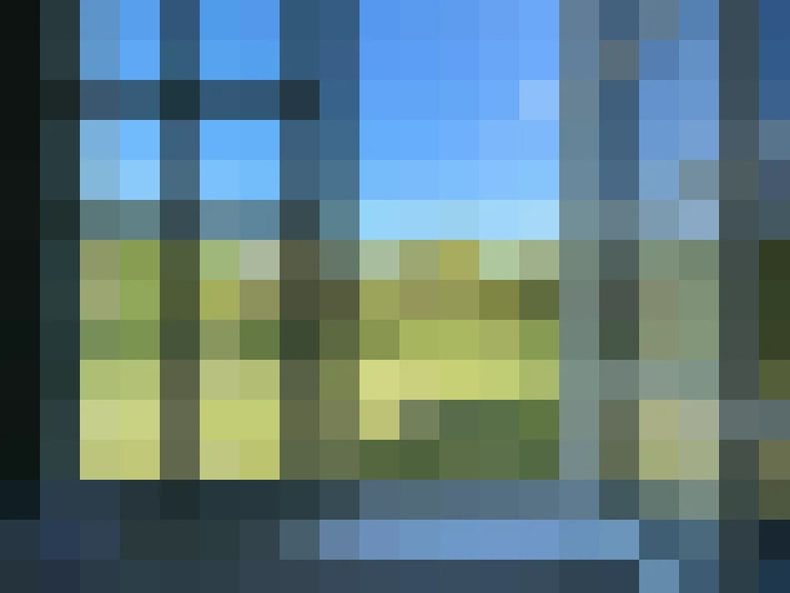 / #7