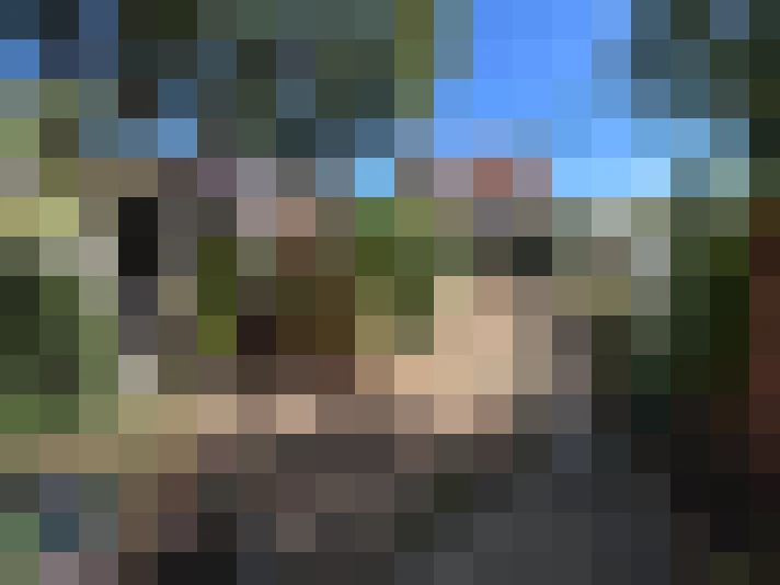  / #16