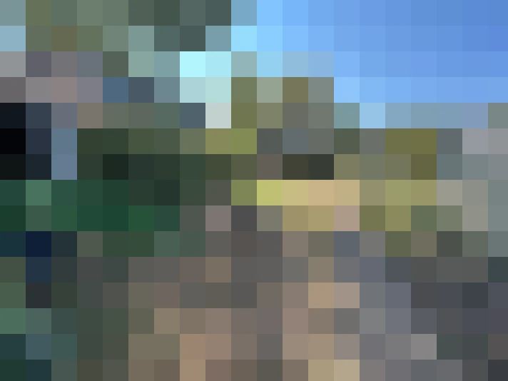  / #15