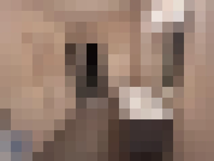  / #8