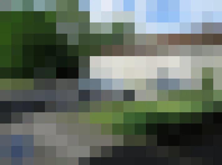  / #9