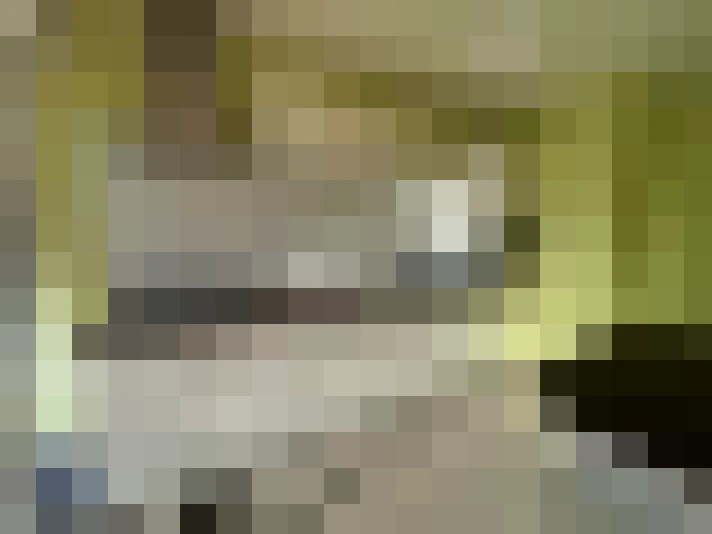  / #6