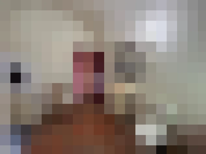  / #18