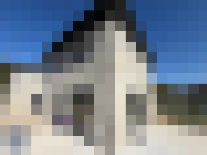  / #14