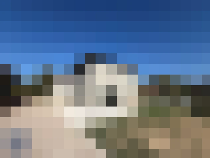  / #15