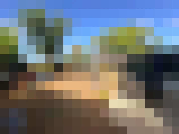  / #8