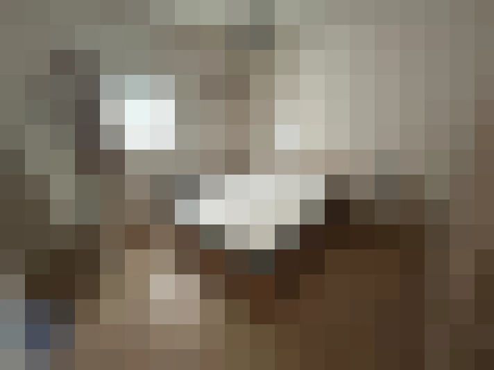  / #8