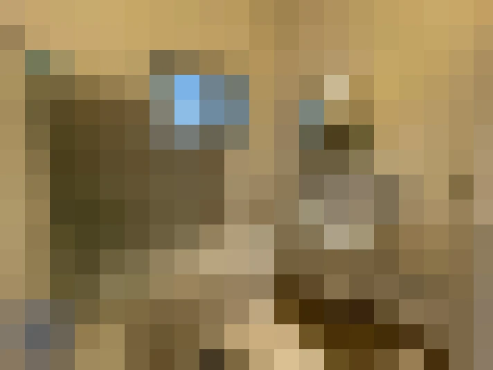  / #6