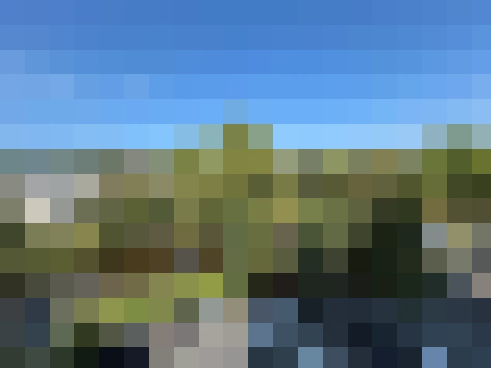  / #7