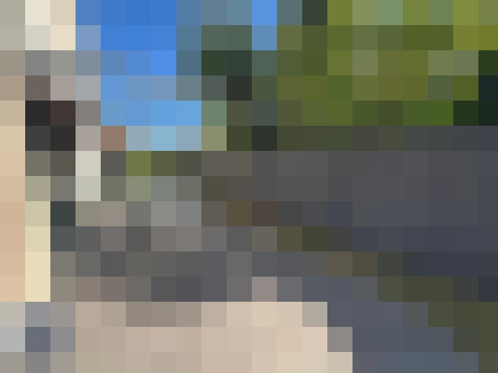  / #12