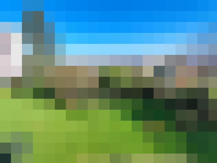  / #8