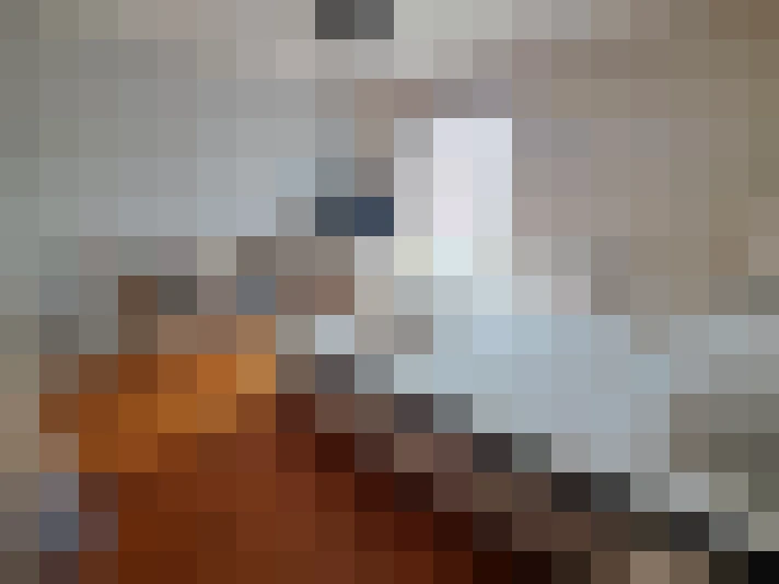  / #7