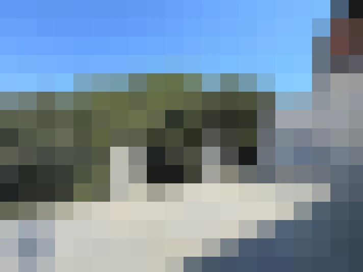  / #9