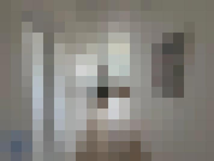  / #8