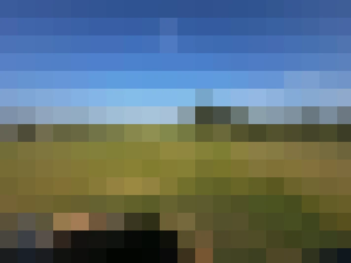  / #3