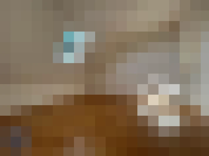  / #6