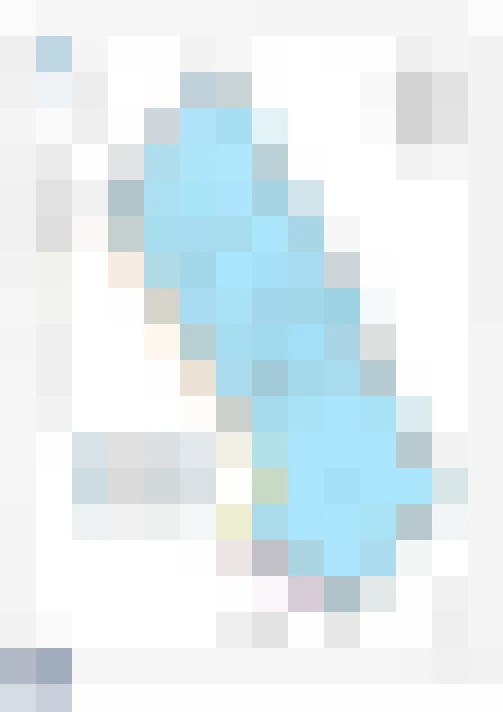  / #11