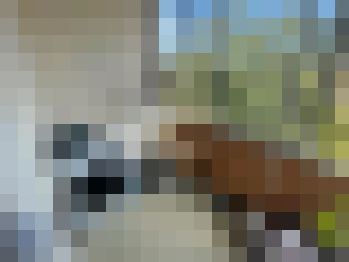  / #7
