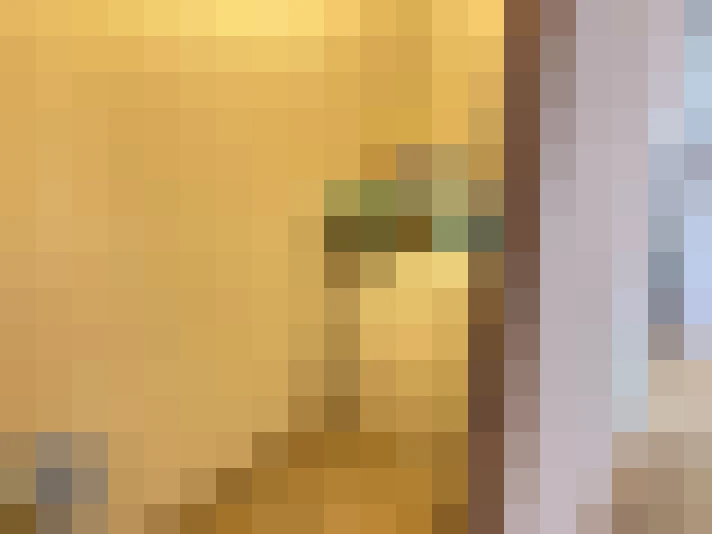  / #19