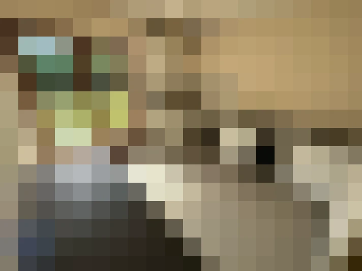  / #23