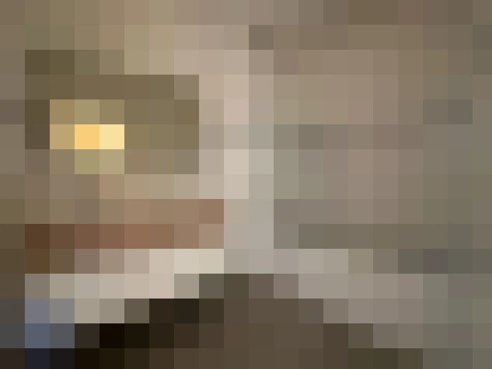  / #8