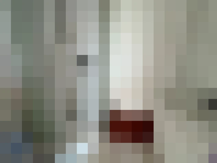  / #8