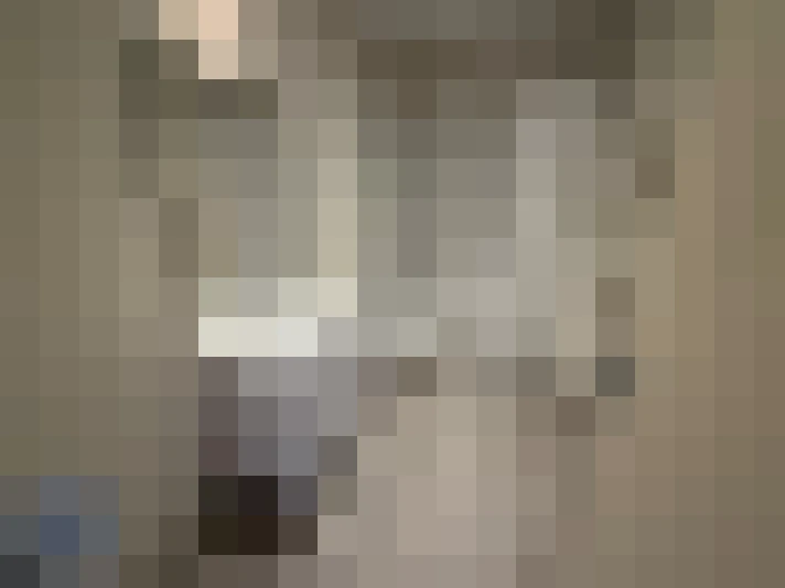  / #23